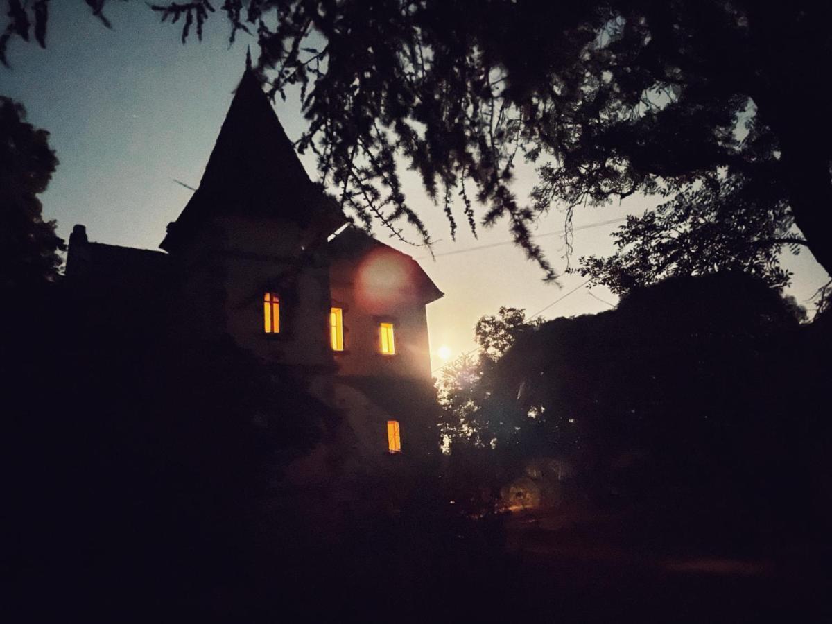 Fleurance Petit Chateau Le Piot Bed & Breakfast エクステリア 写真