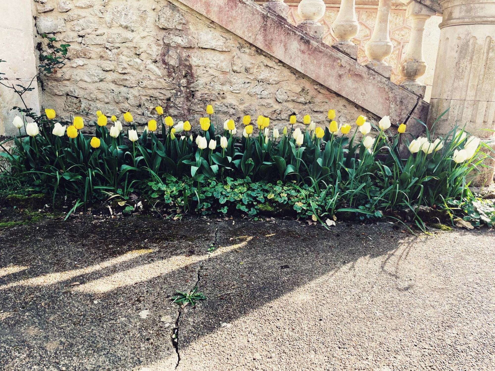 Fleurance Petit Chateau Le Piot Bed & Breakfast エクステリア 写真